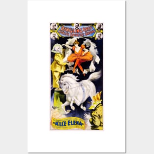 RINGLING BROS WORLD'S GREATEST SHOWS Miss Elena Vintage Circus Advert Posters and Art